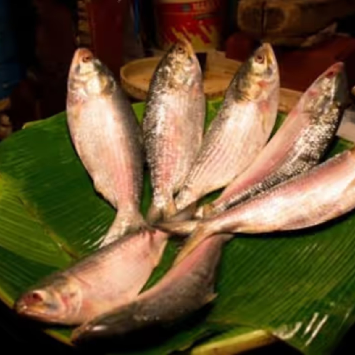 ভোর ৪টেয় হয় নিলাম হয়