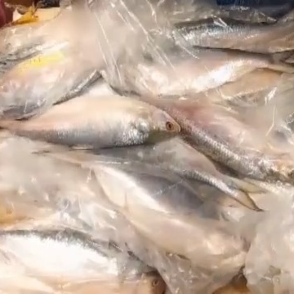 প্রতিটি ট্রাকে প্রায় ৪ টন করে ইলিশ মাছ ছিল