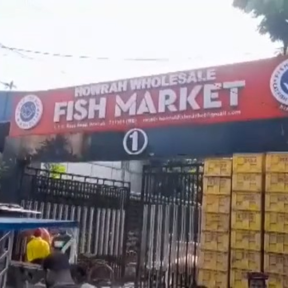অন্তর্বর্তী সরকার ১ হাজার ২০০ মেট্রিক টন ইলিশ মাছ শর্তসাপেক্ষে রফতানির অনুমতি দিয়েছে 