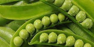 অক্টোবরে এই ৫ সবজির চাষ করুন, শীত পড়লেই বাম্পার লাভ হবে
