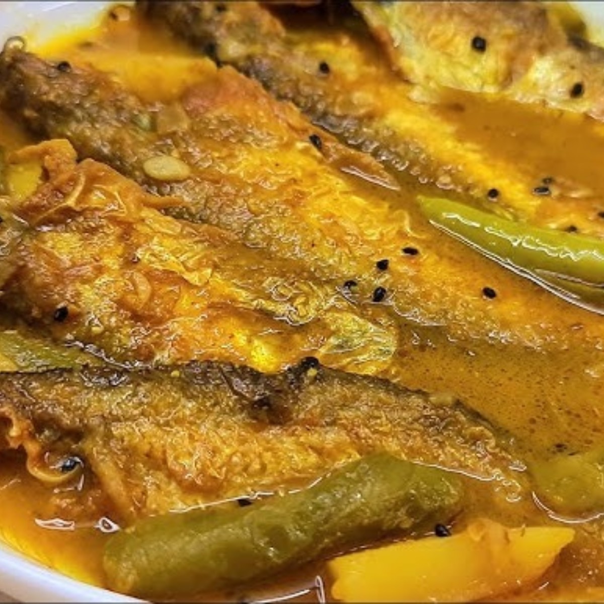 ভাপা পাবদা