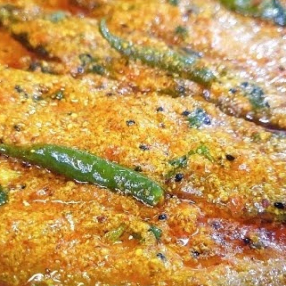 ভাপা পাবদা