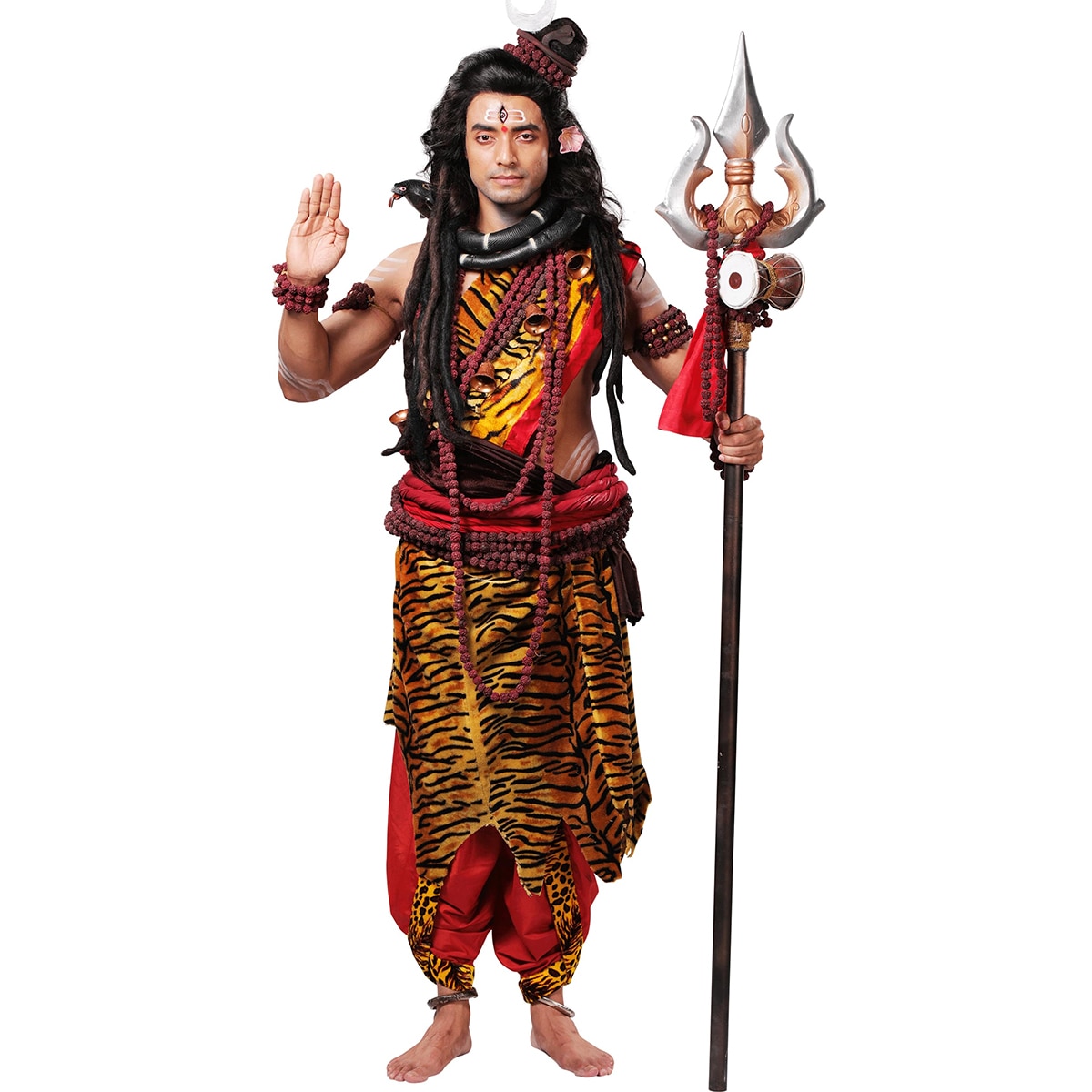 mahalaya on TV