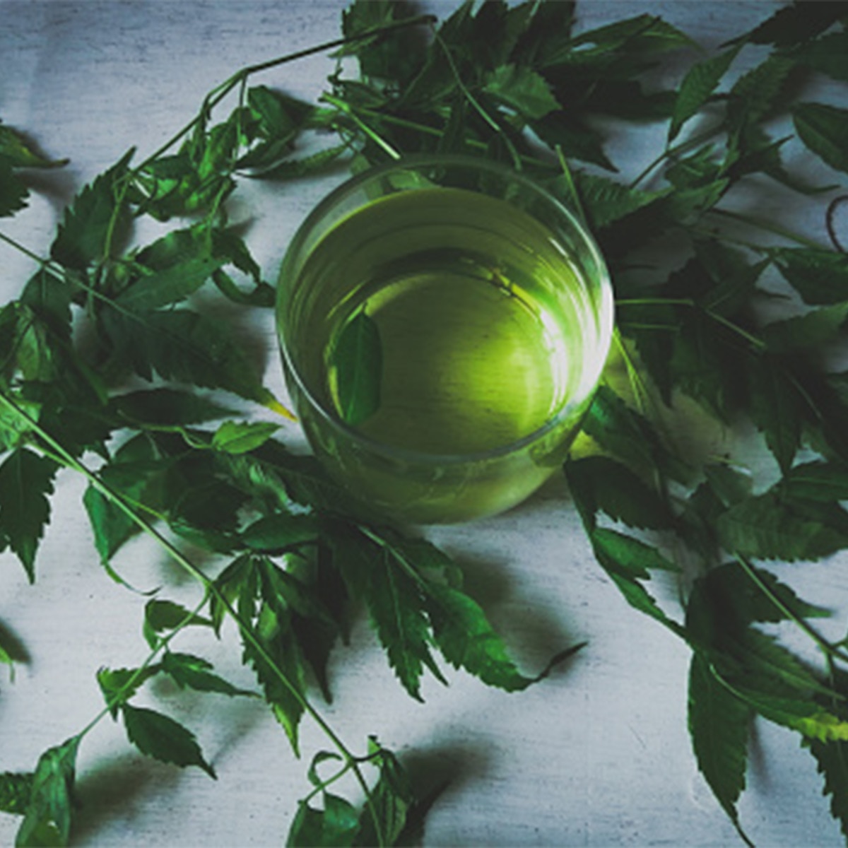 Neem