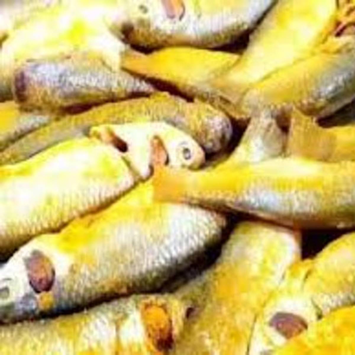 কারণ অনেক সময় দেখা যায়, মাছ ভাজার প্রায় ২০ থেকে ৩০ মিনিট আগে থেকে লবণ-হলুদ মাখিয়ে রেখে দেন মাছে।