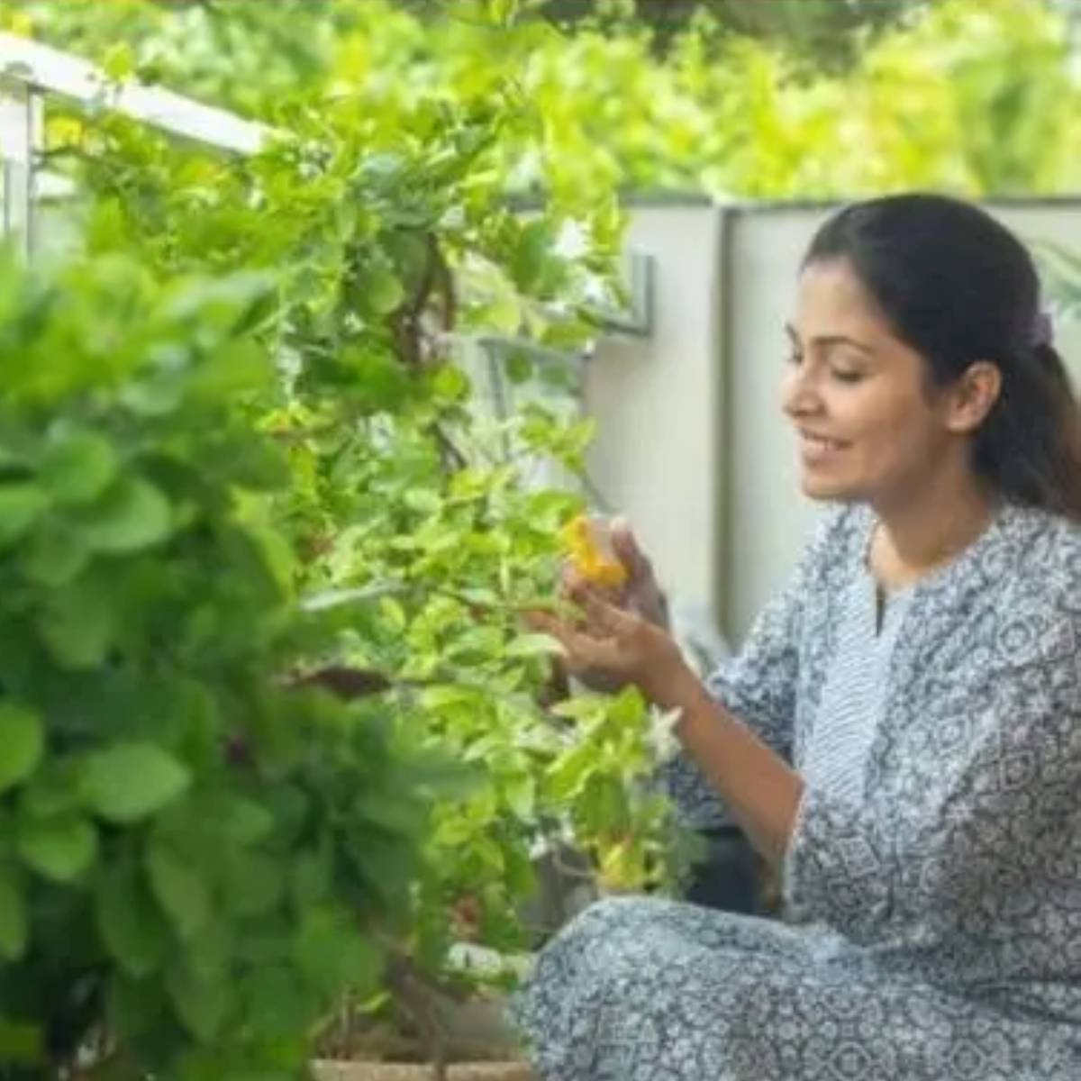 দরকার পর্যাপ্ত সূর্যের আলো