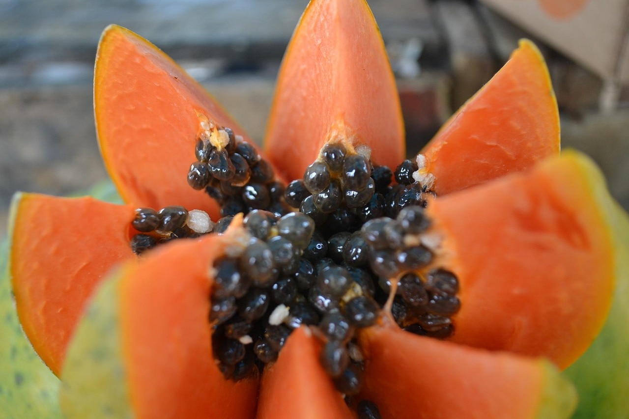 Papaya Weight Loss 