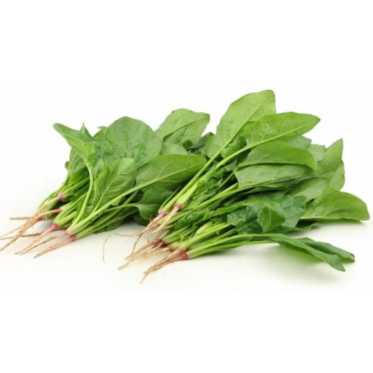  Spinach Farming
