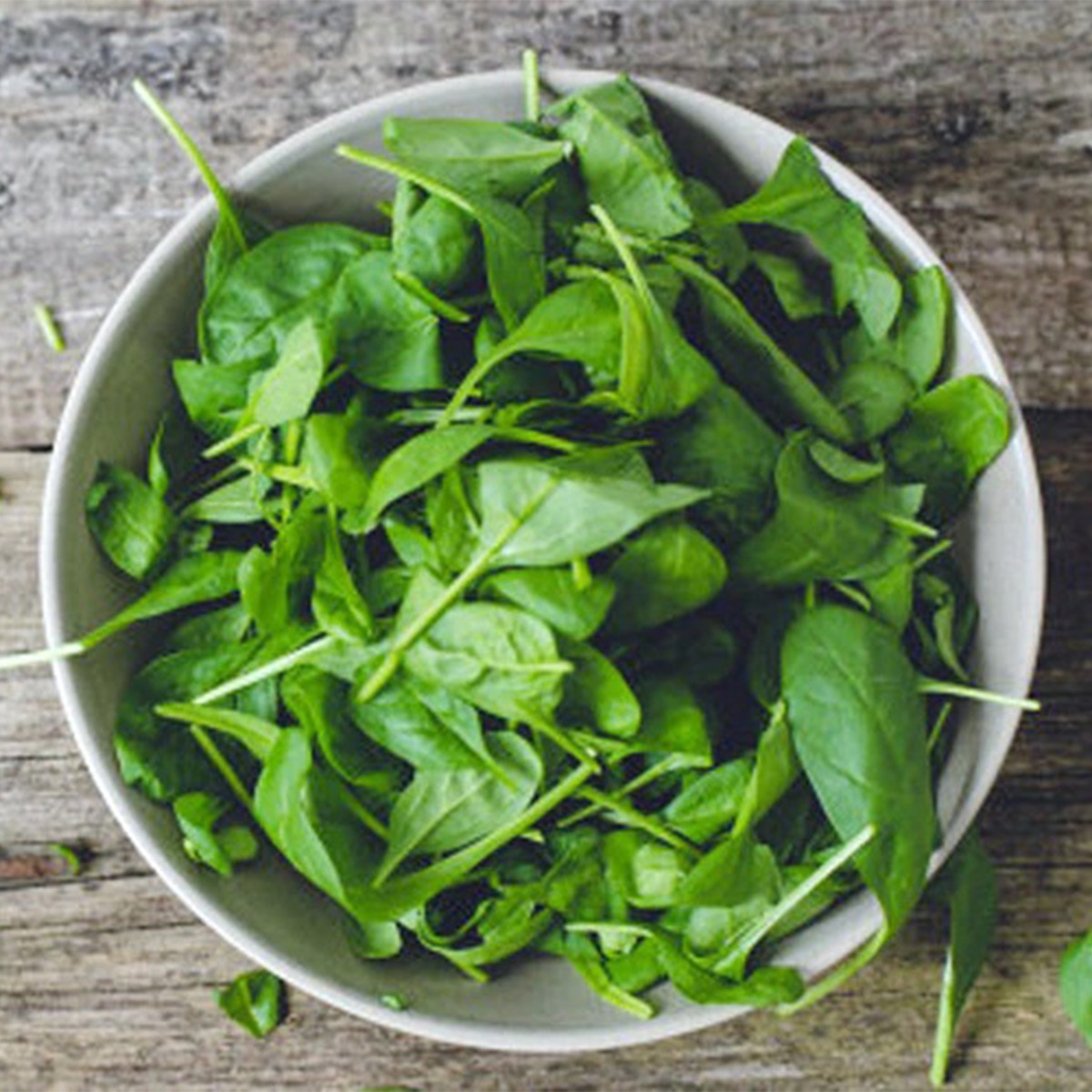  Spinach Farming