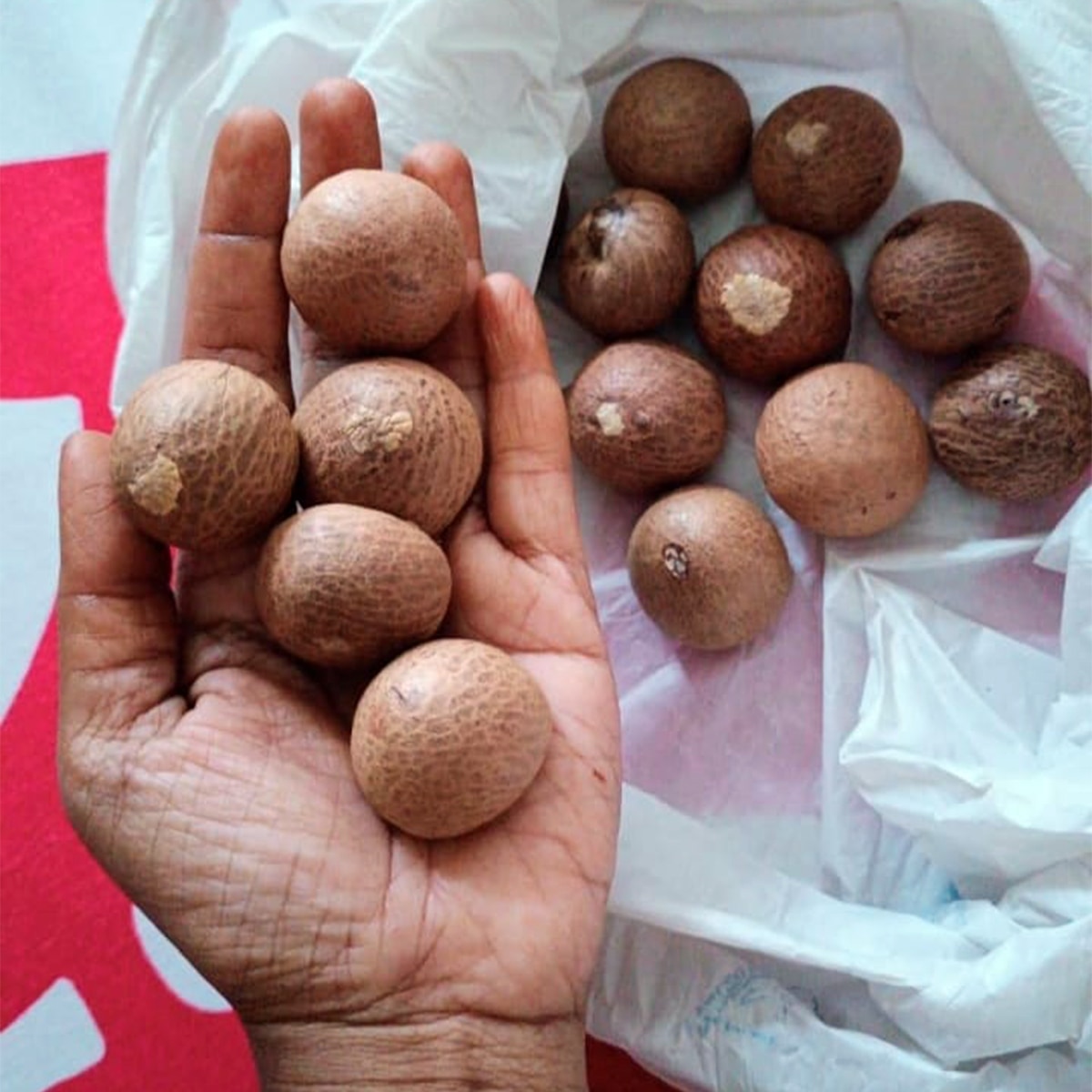 Supari betel nuts
