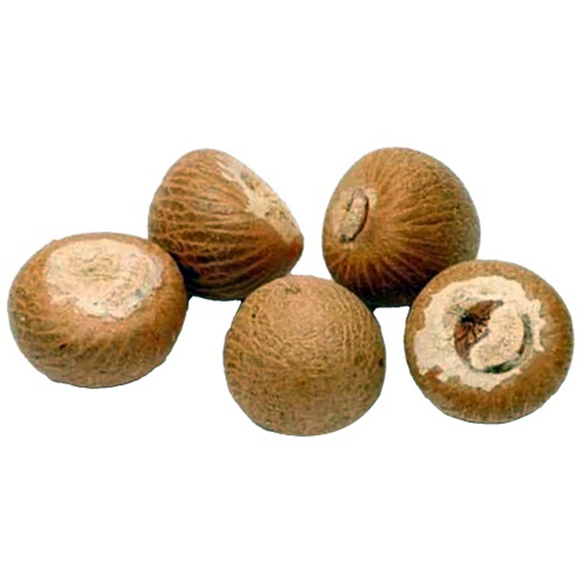 Supari betel nuts