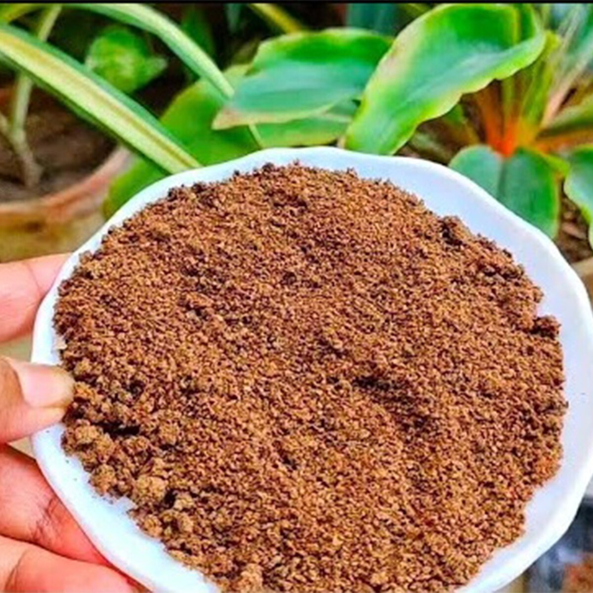 Tea Leaf Fertilizer