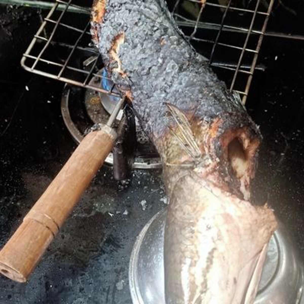 পোড়া শোল