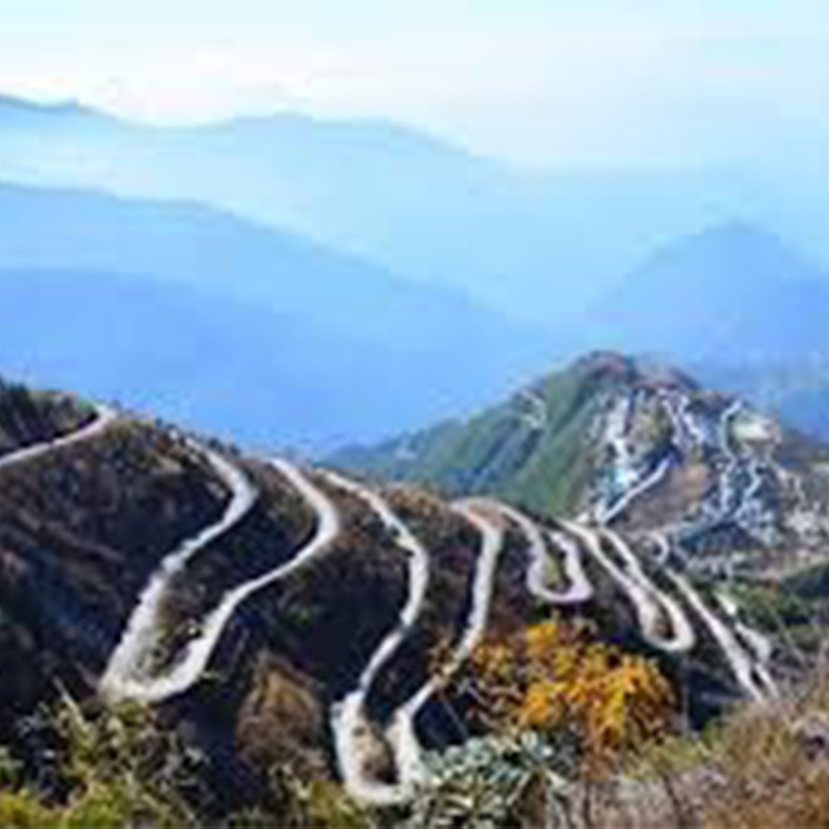 রিশপ  রিশপ