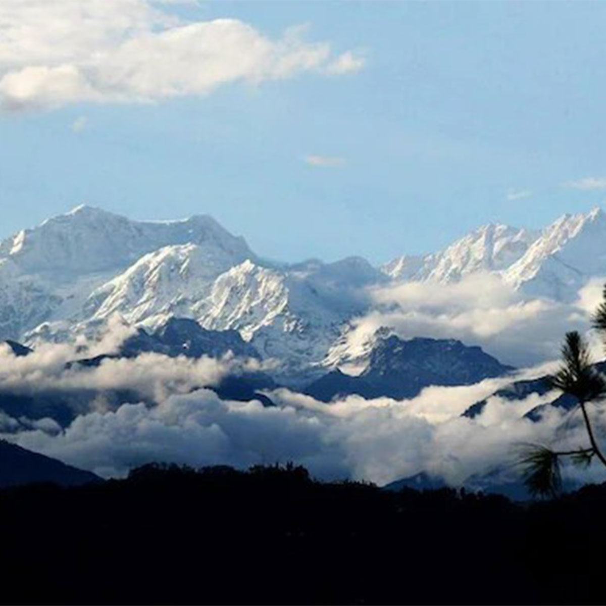 কাঞ্চনজঙ্ঘা কাঞ্চনজঙ্ঘা