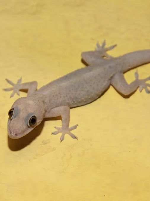 এক জায়গায় বসে  এক জায়গায় বসে