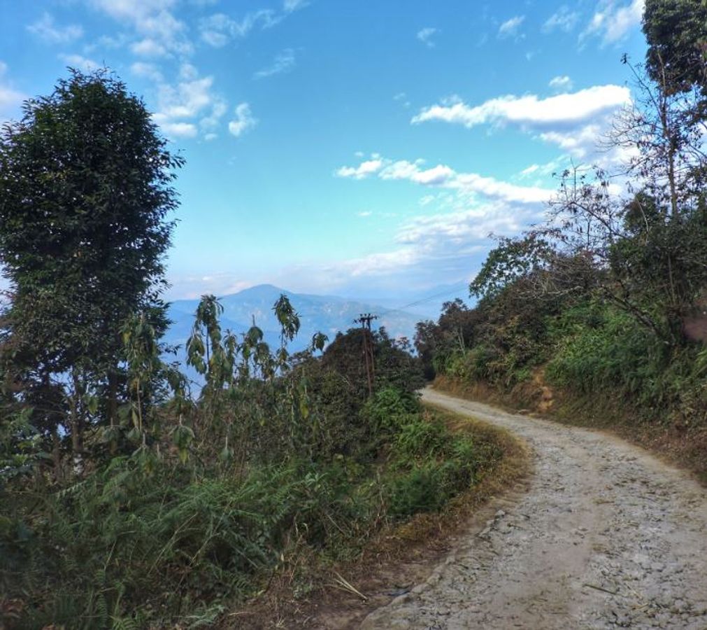 হোমস্টে
