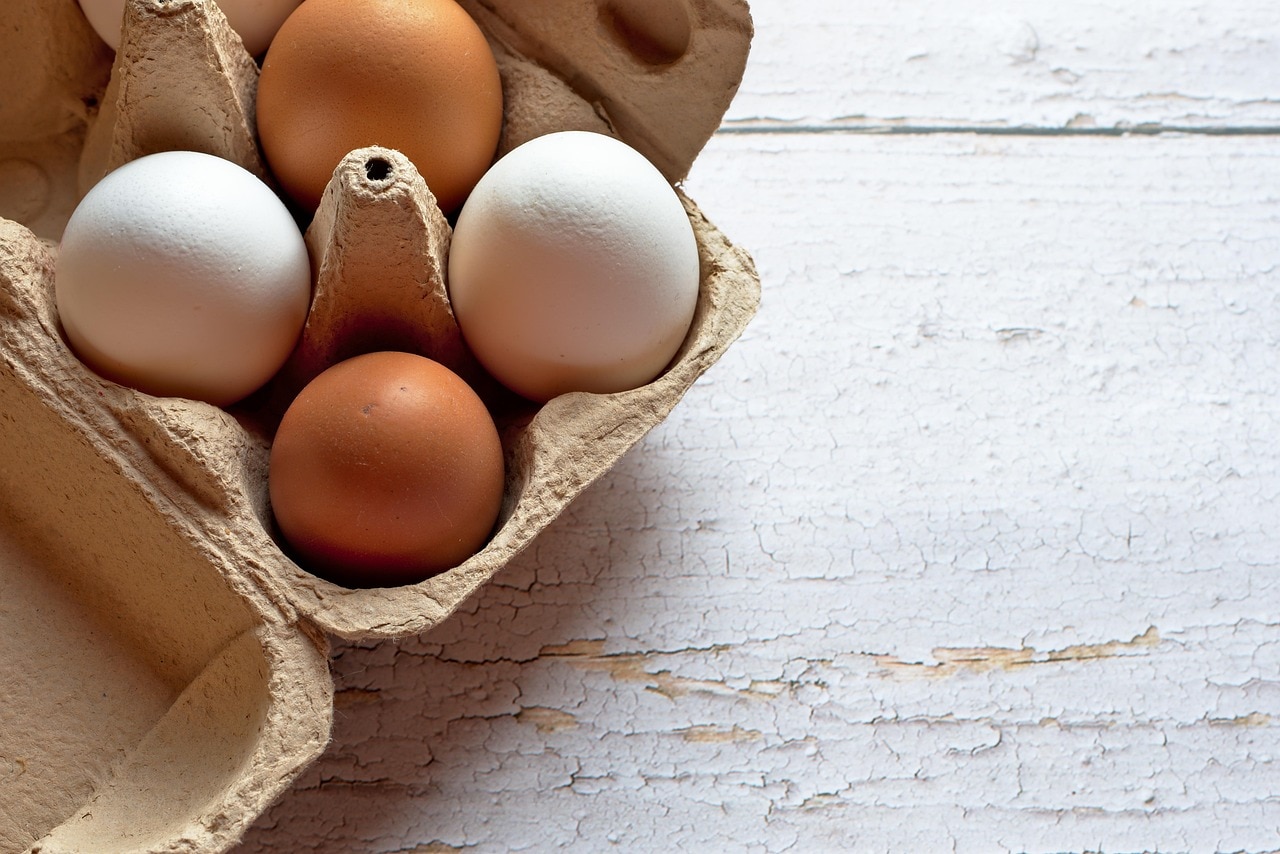 Real vs Fake Egg 