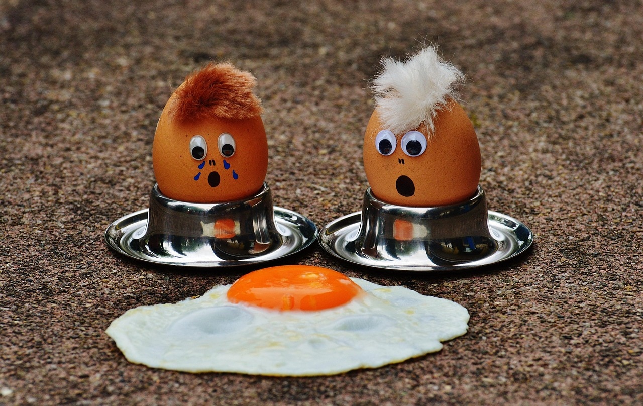 Real vs Fake Egg 