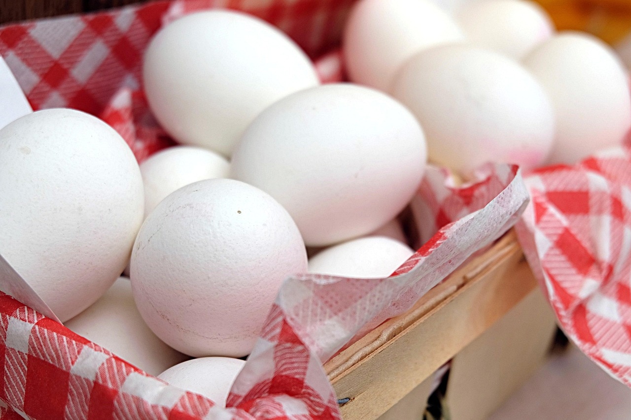 Real vs Fake Egg 