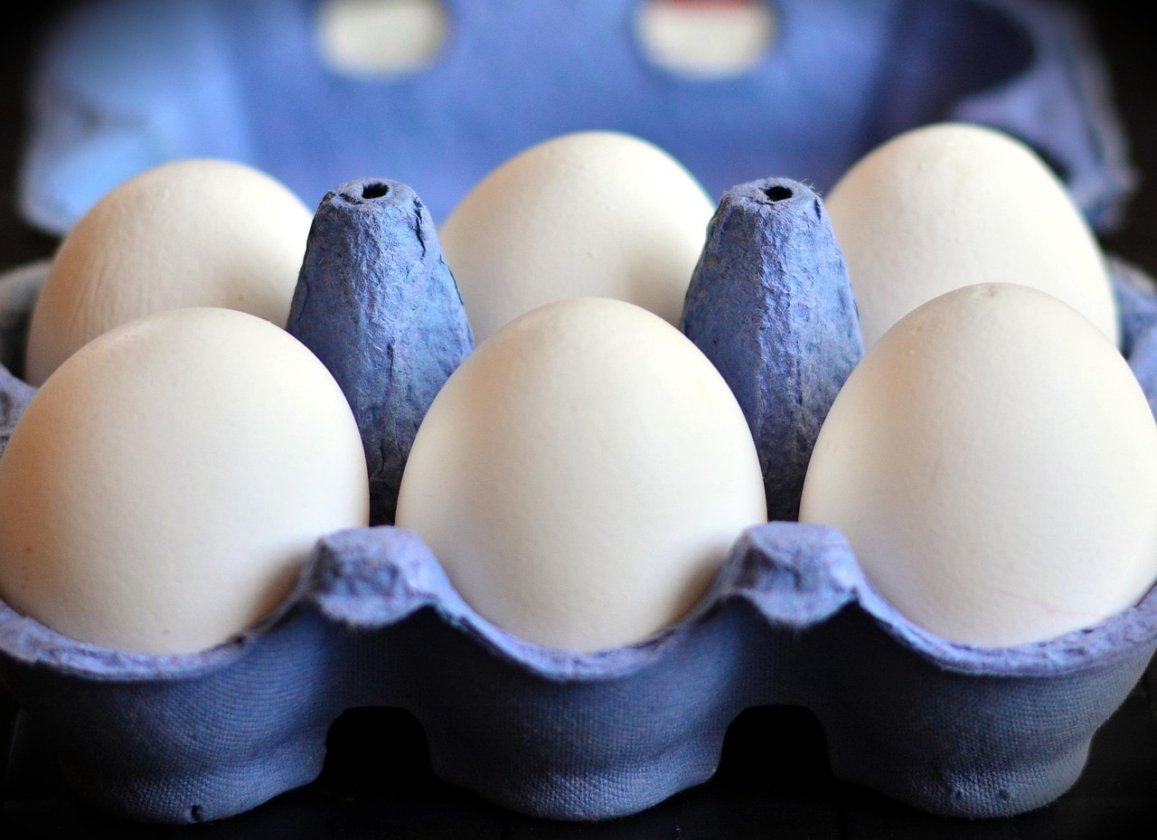 Real vs Fake Egg 