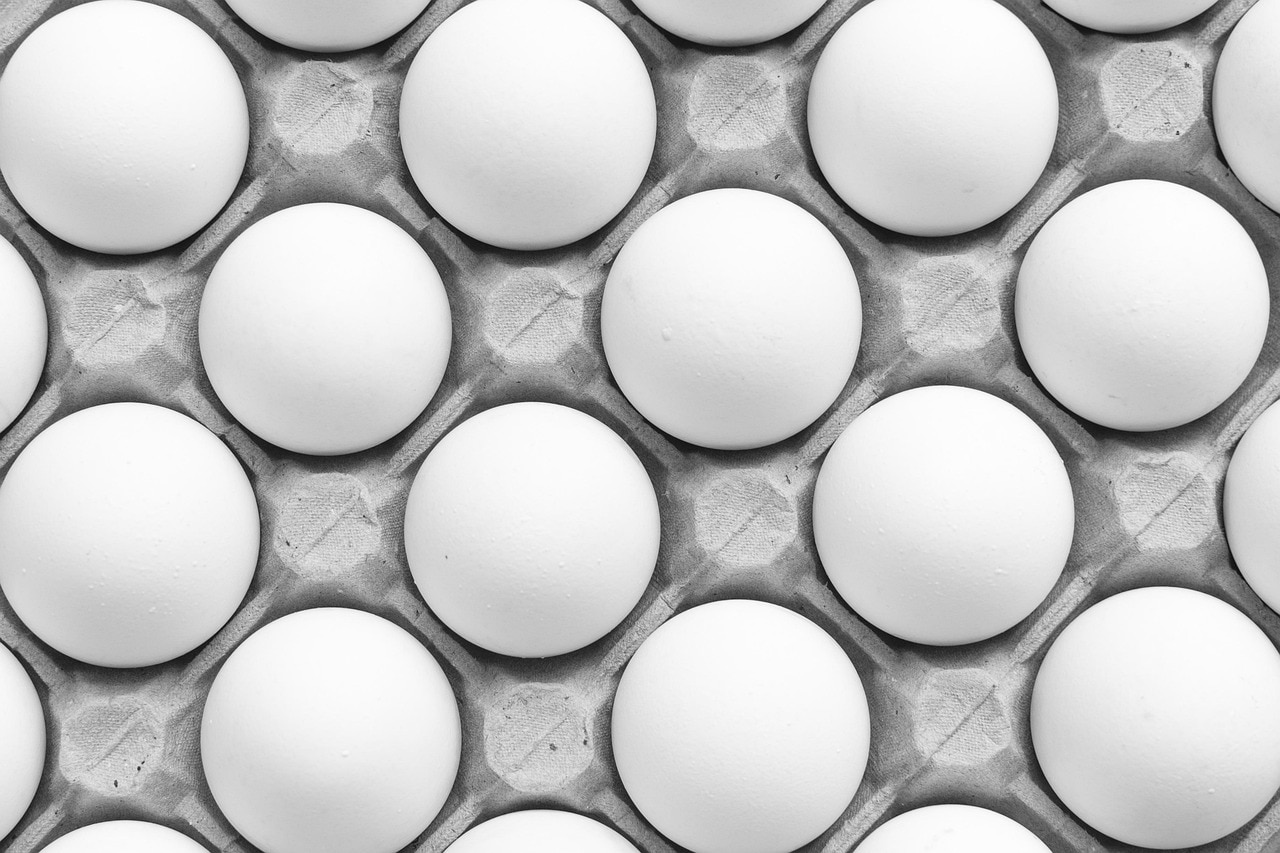 Real vs Fake Egg 