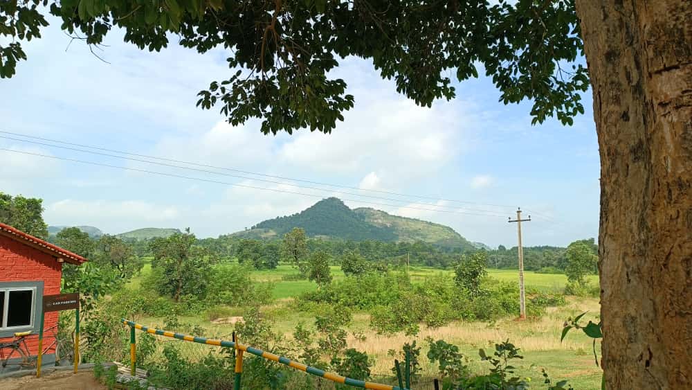 আদ্রা-চক্রধরপুর এক্সপ্রেস ধরে পৌঁছে বরাভূম 