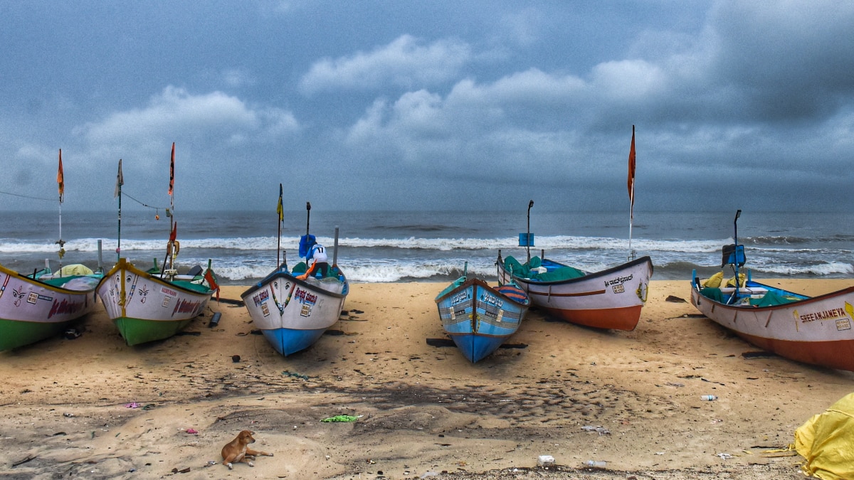 Cyclone Montha Weather Update  Cyclone Montha Weather Update