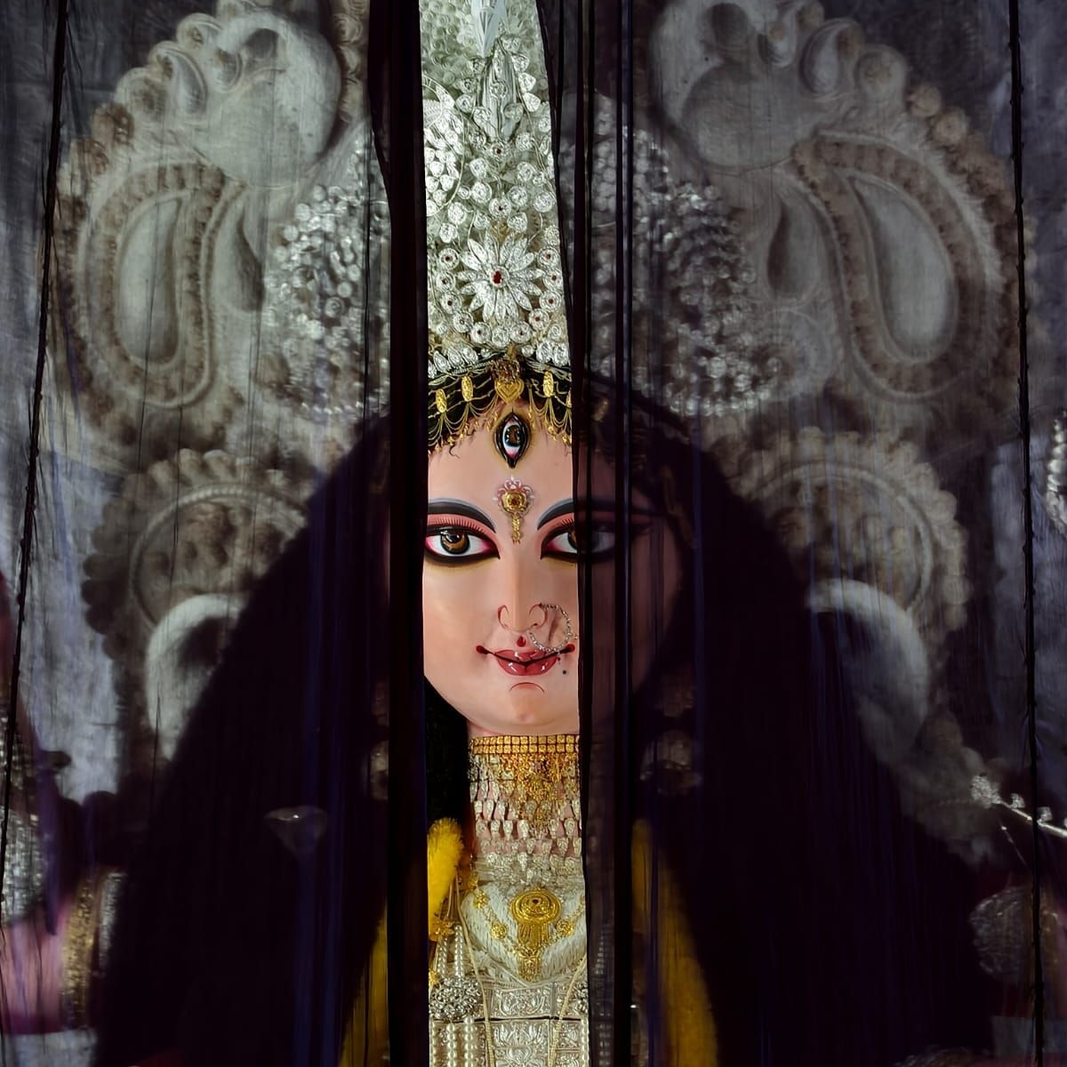 Jagadhatri Puja 2025  Jagadhatri Puja 2025