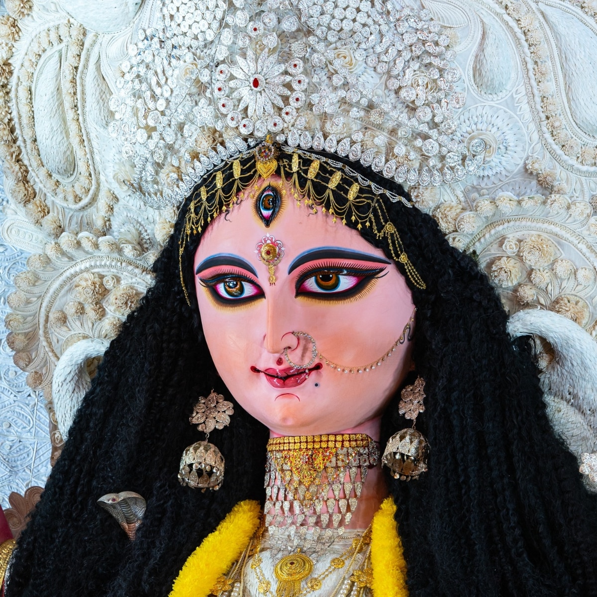 Jagadhatri Puja 2025  Jagadhatri Puja 2025