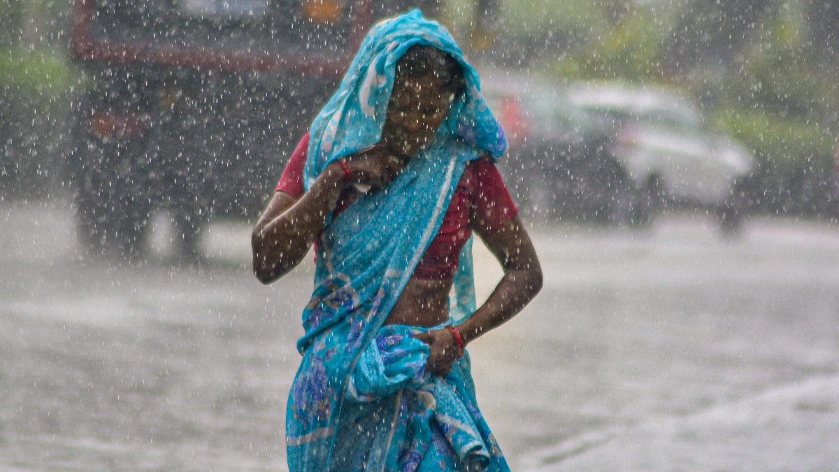 Cyclone Montha Weather Update  Cyclone Montha Weather Update