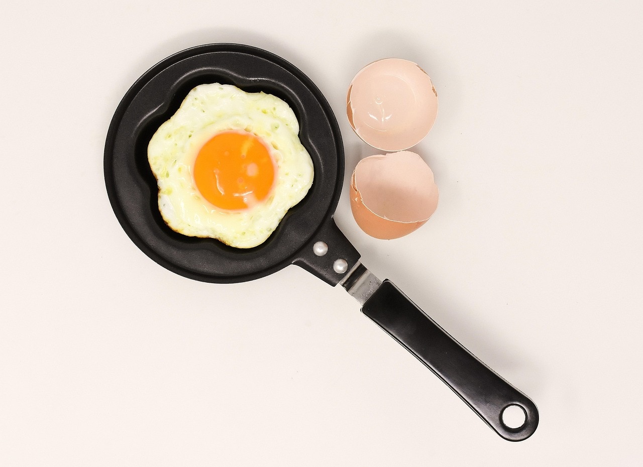 Real vs Fake Egg 
