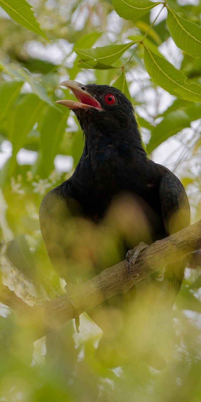 জীবনে সাফল্য