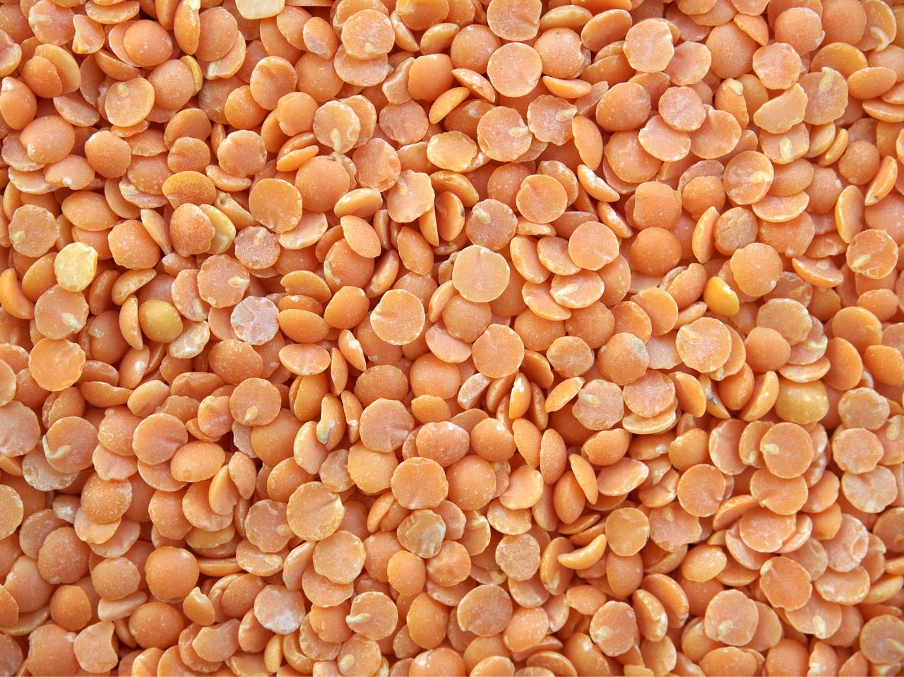 ডালে প্রোটিন ডালে প্রোটিন