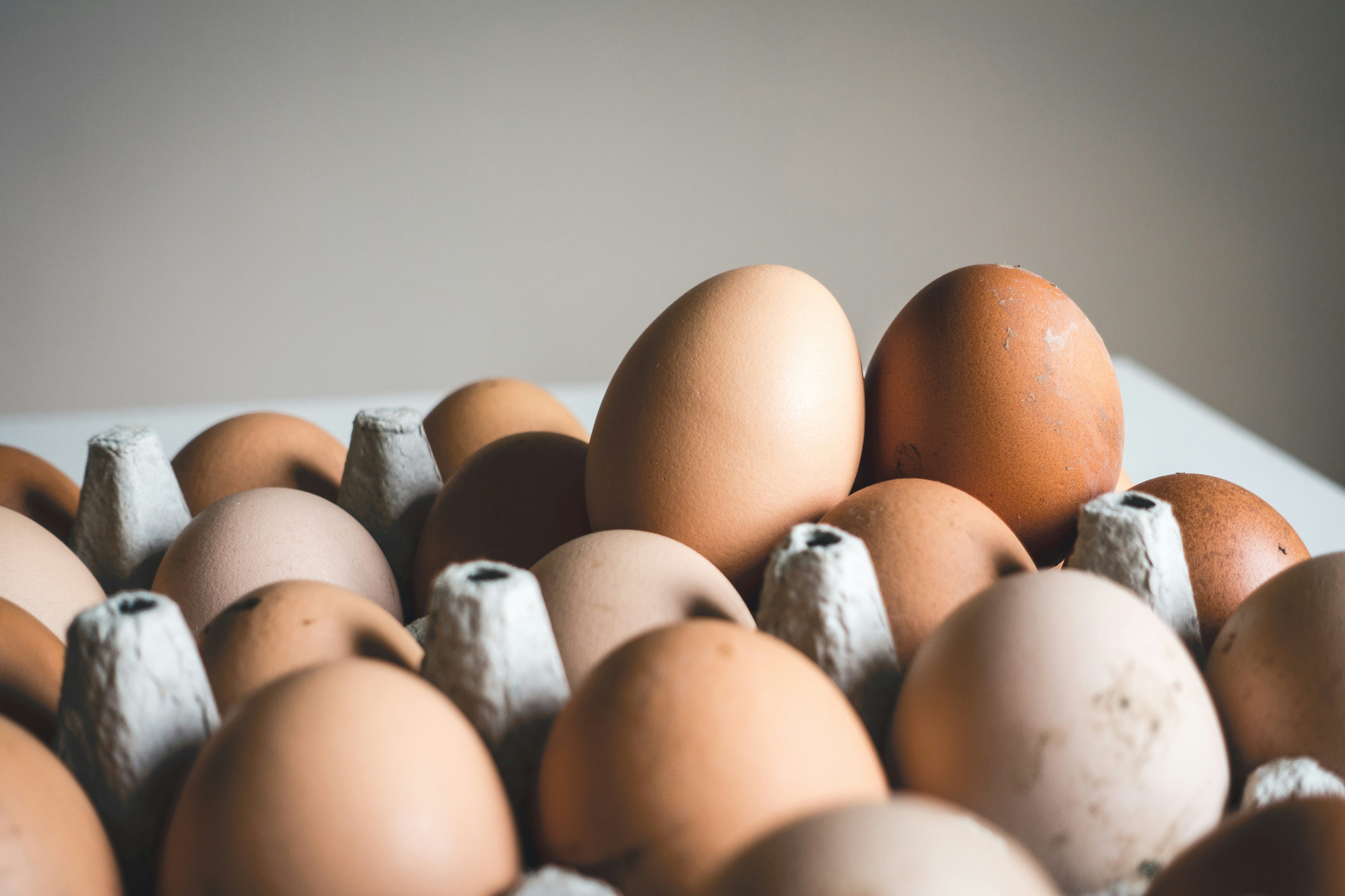 Rotten Egg