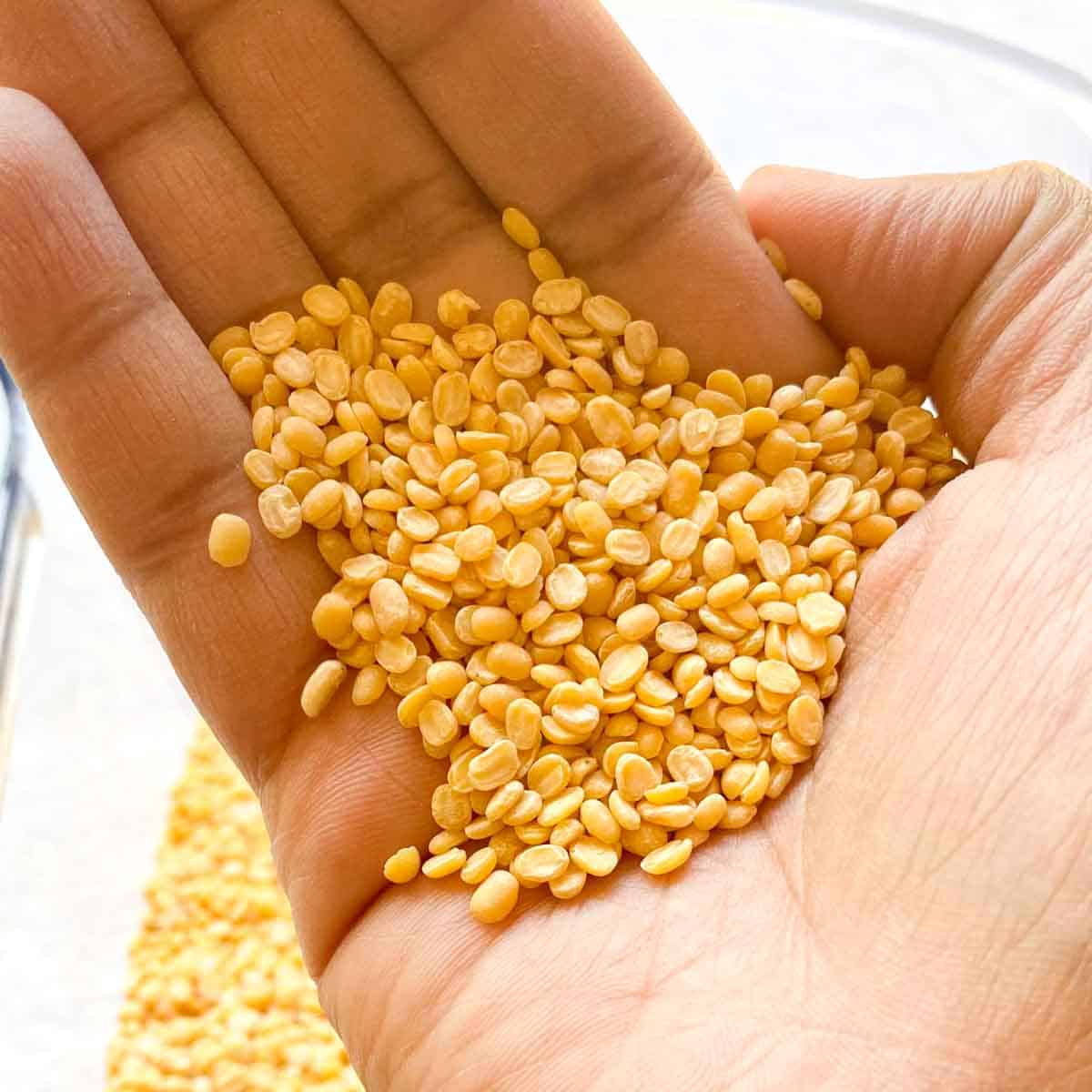 Moong Dal