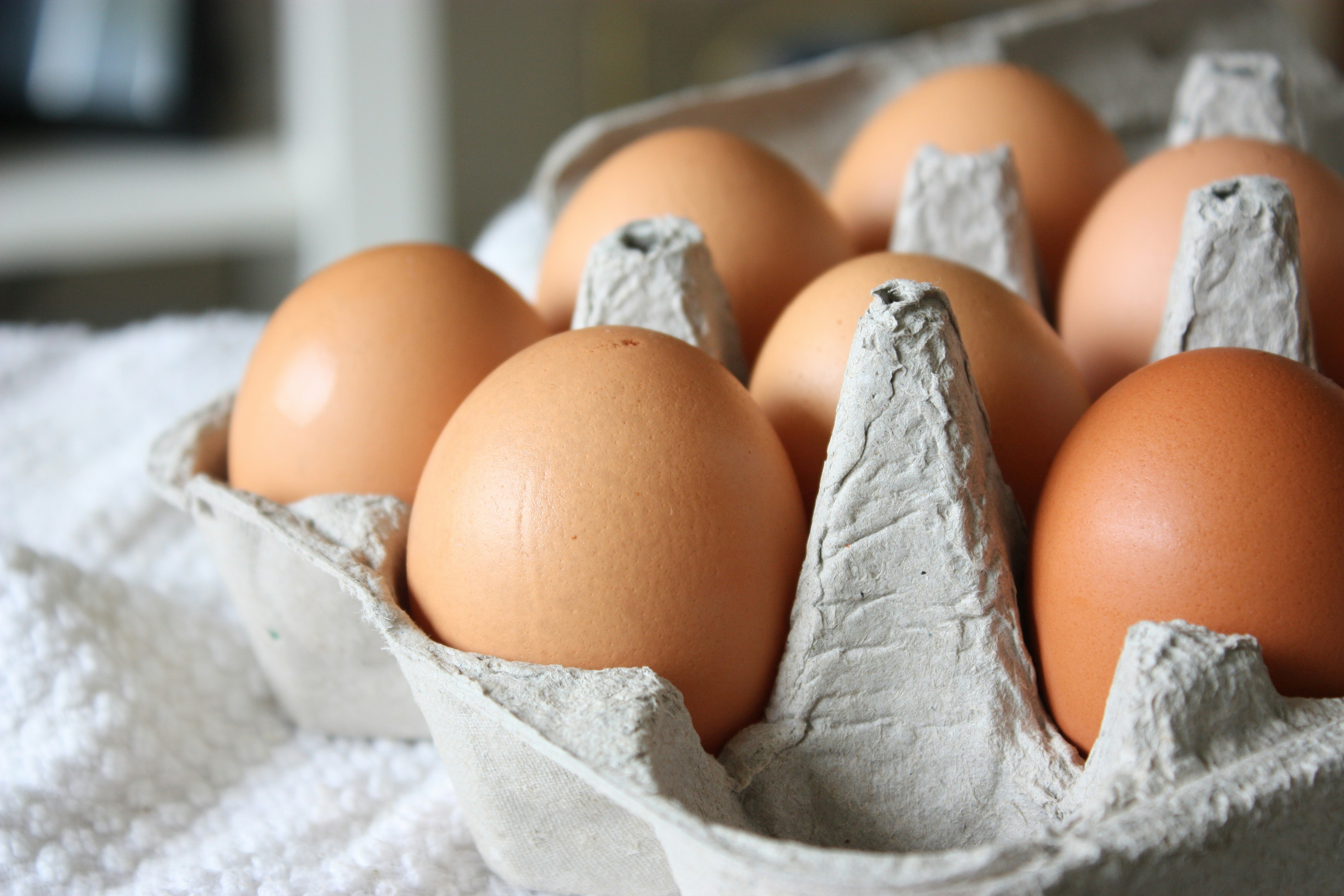 Rotten Egg