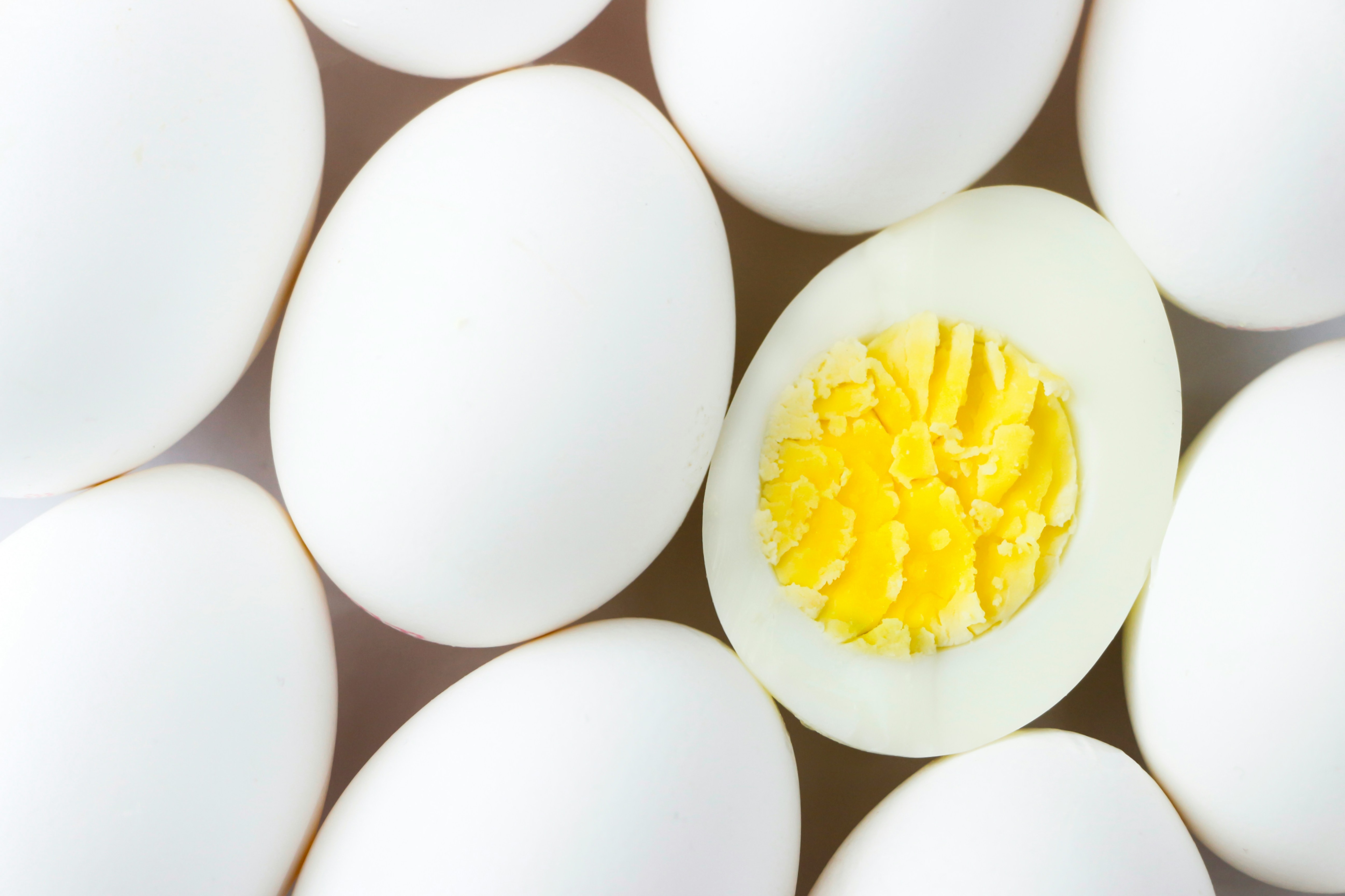 Rotten Egg