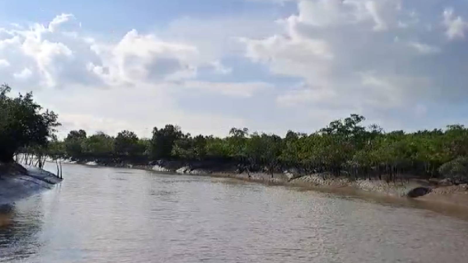 প্রতিবছর অসংখ্য পর্যটক সুন্দরবন বেড়াতে যান