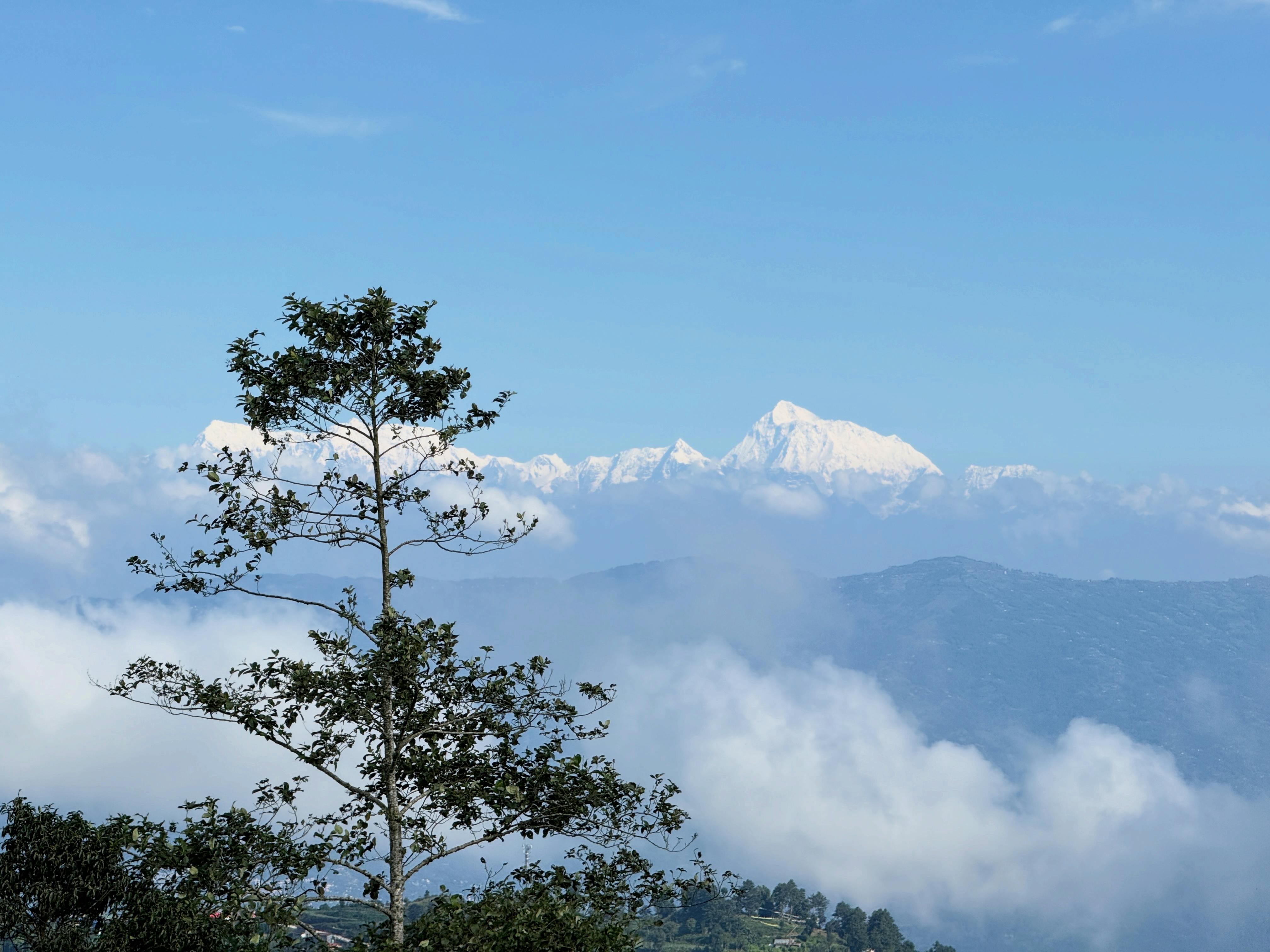 ইতিহাসের অতলে হারিয়ে গিয়েছে এই বাঙালির নাম