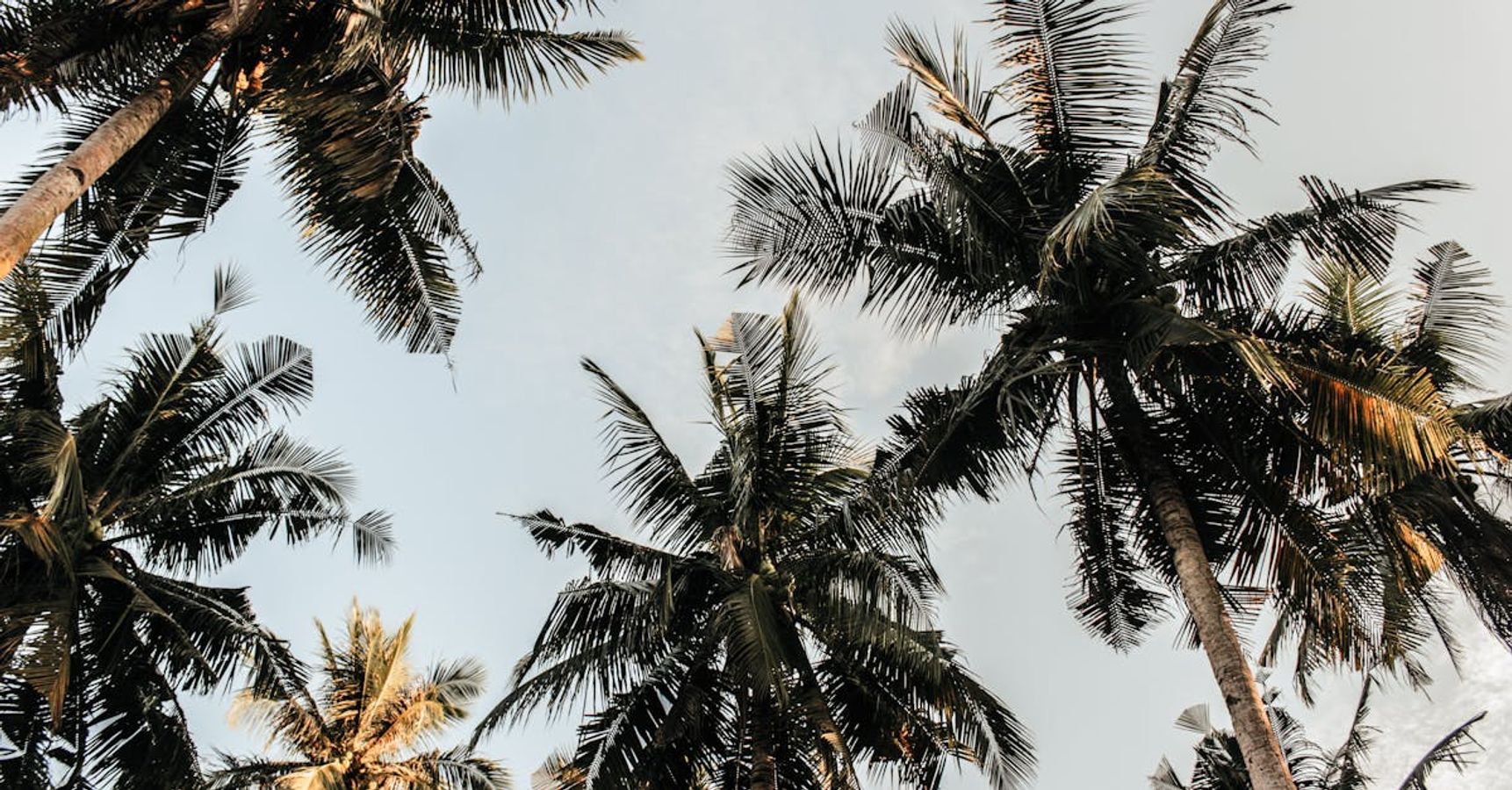 ঠান্ডা পরিবেশ  ঠান্ডা পরিবেশ