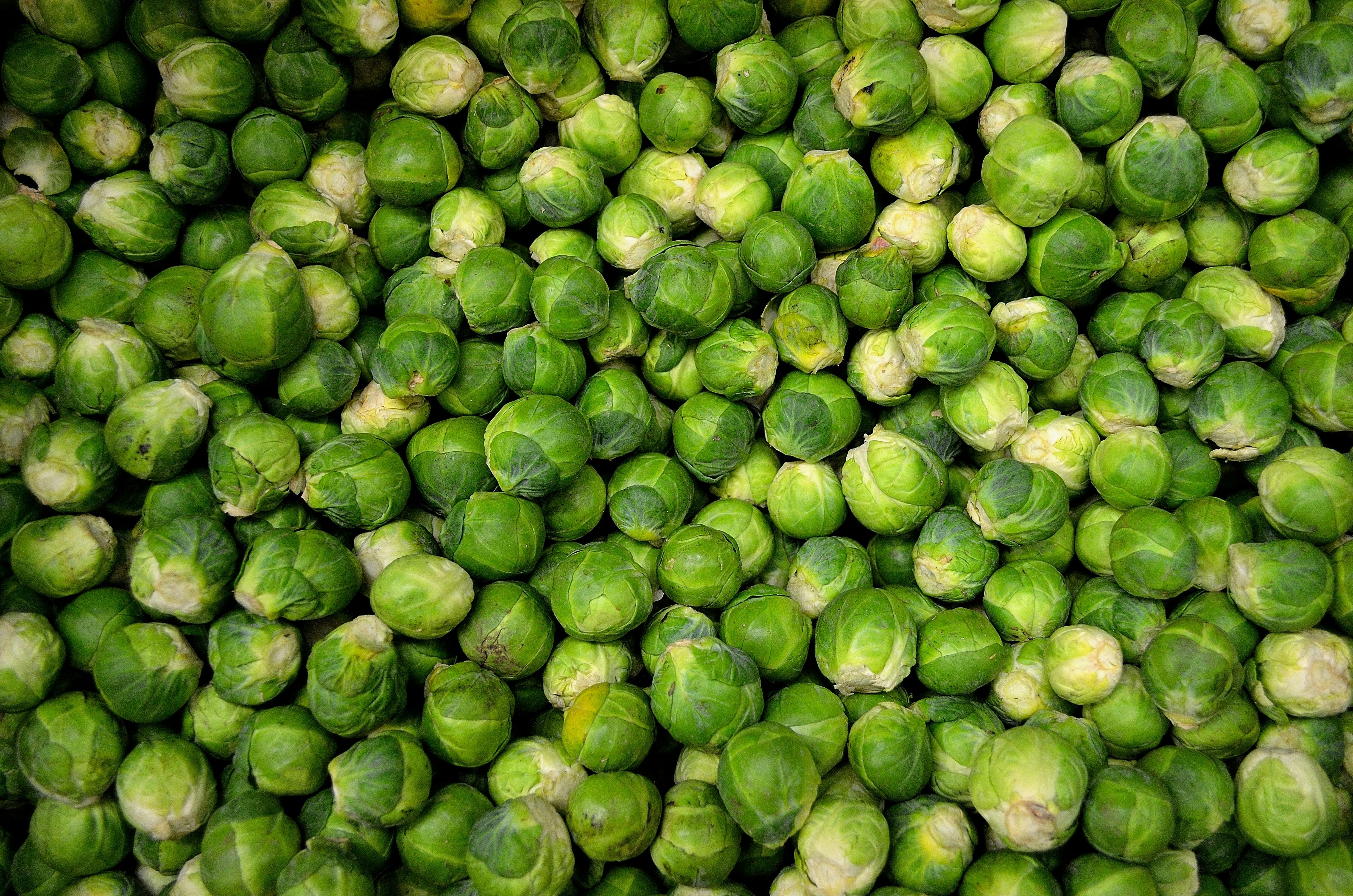 ব্রাসেল স্প্রাউটস