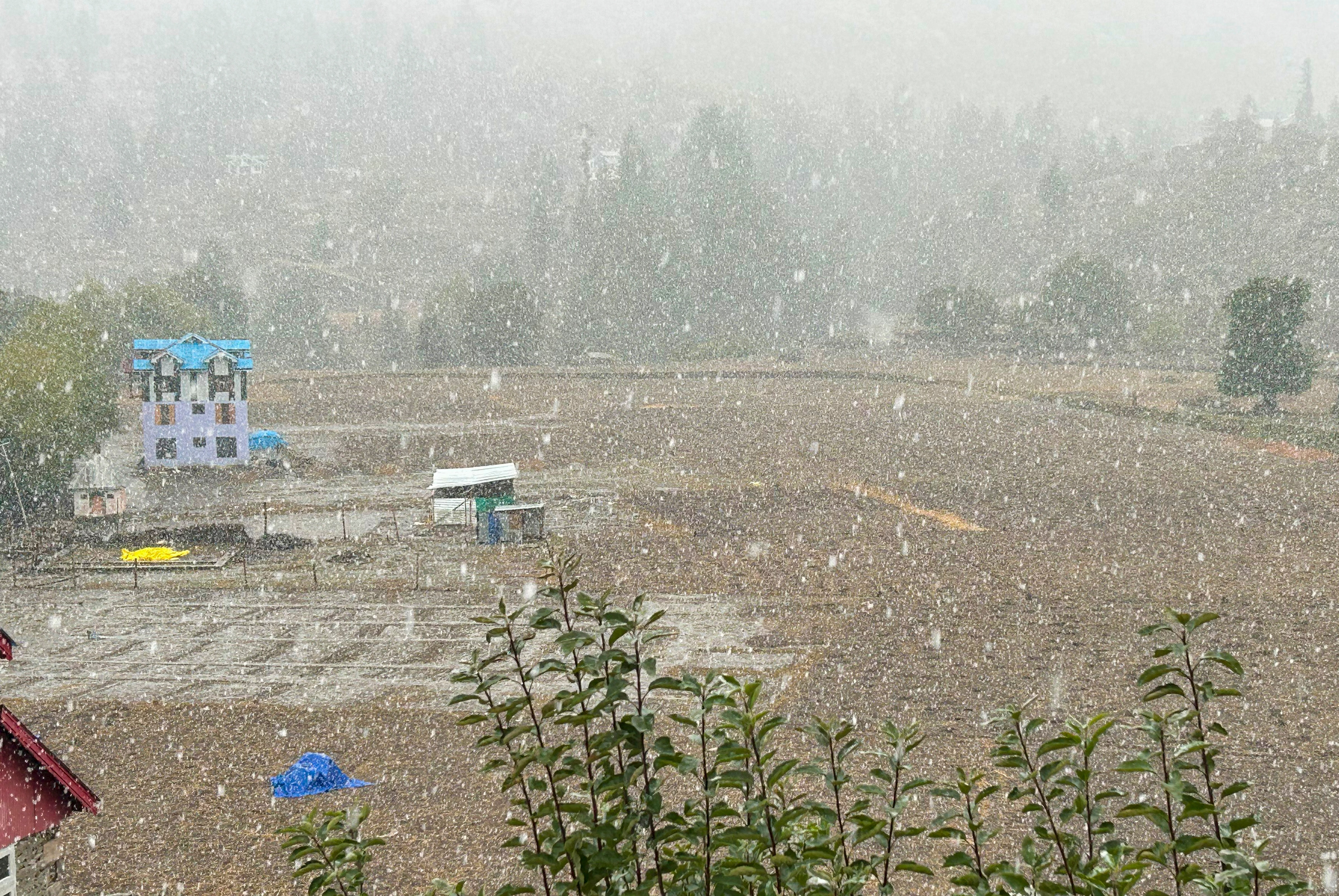 Jammu And Kashmir Snowfall 