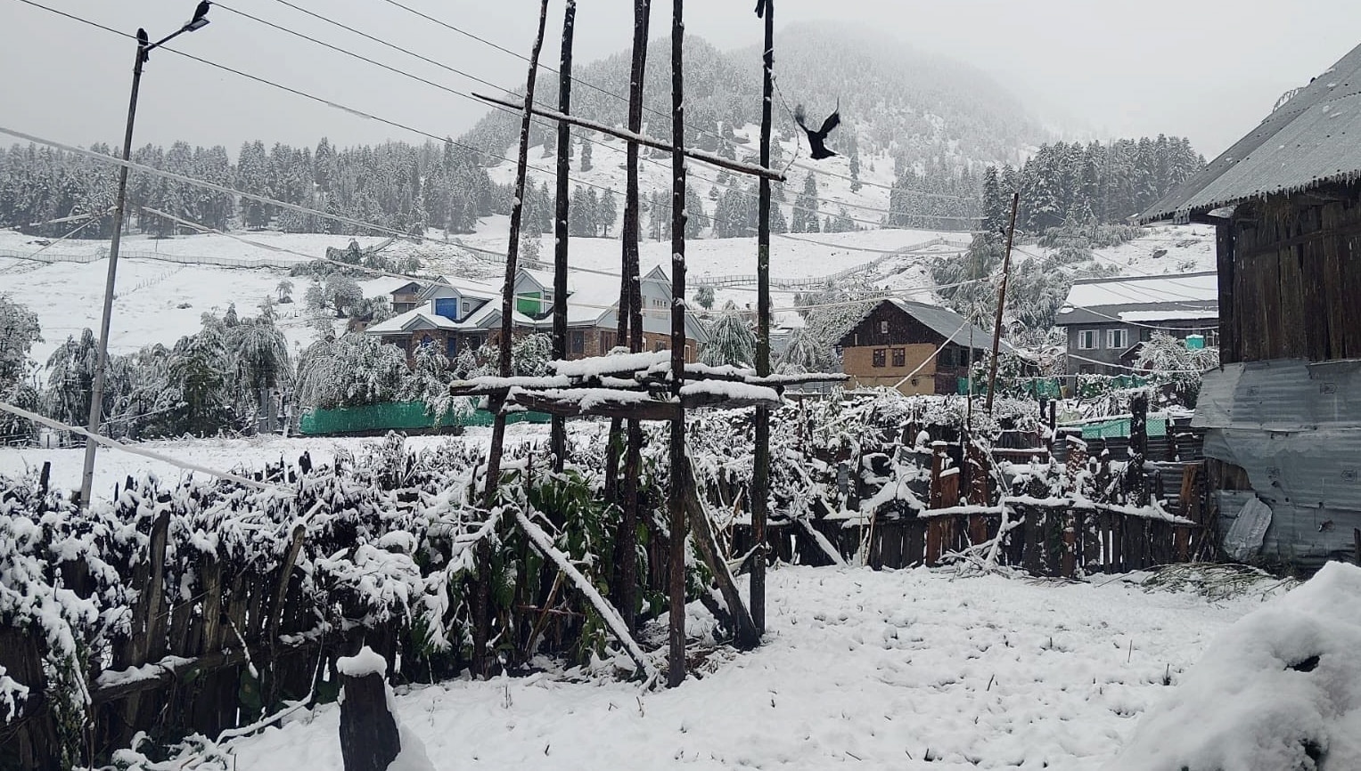 Jammu And Kashmir Snowfall 