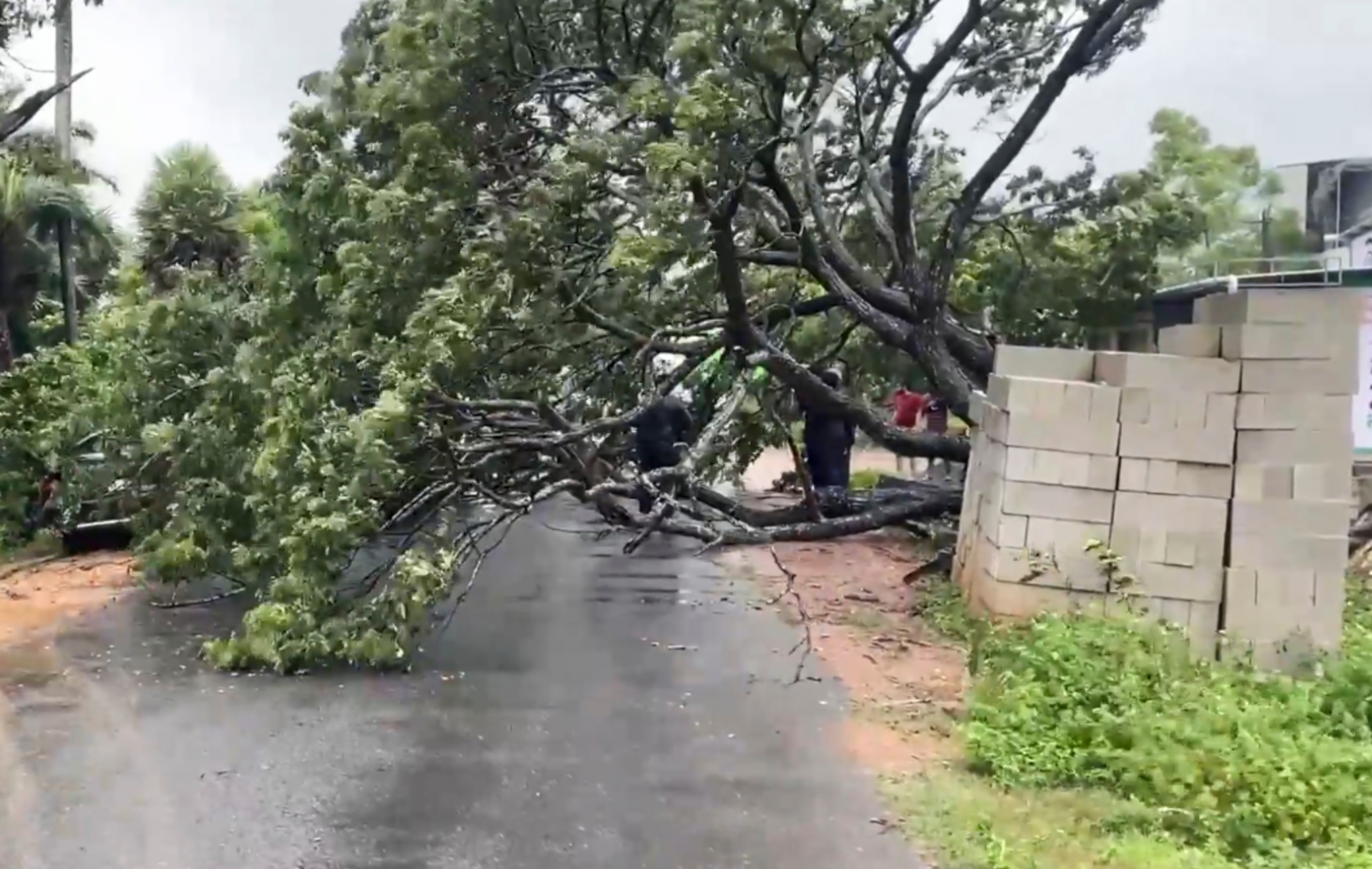 Cyclone Montha  Cyclone Montha