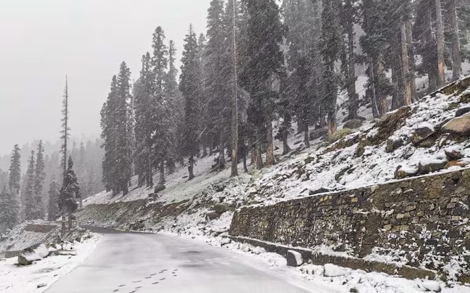 Jammu And Kashmir Snowfall 