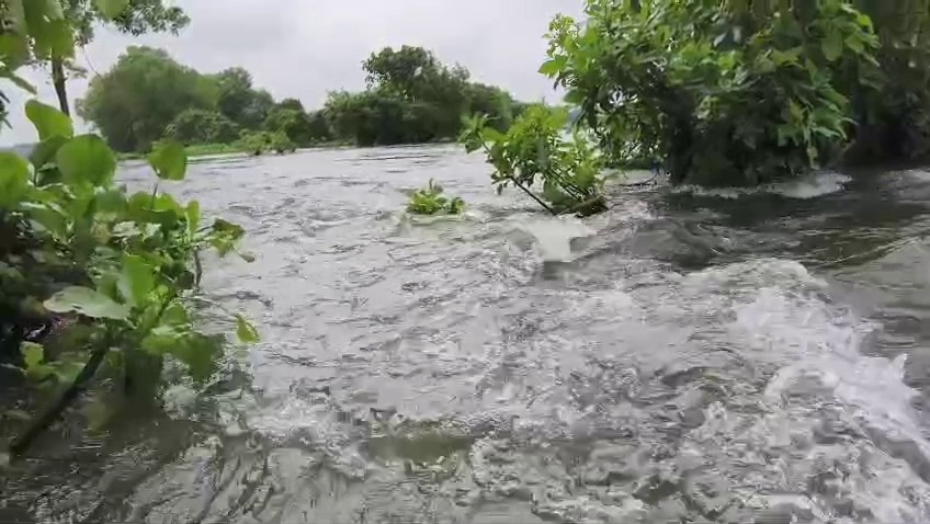 পানশিউলি বাজারে
