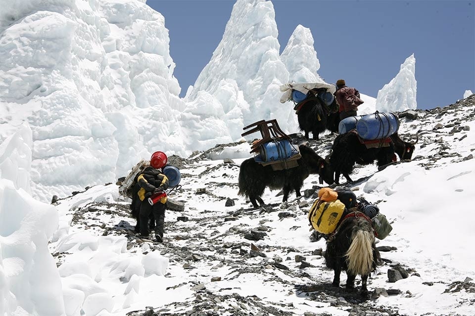 Everest Blizzard