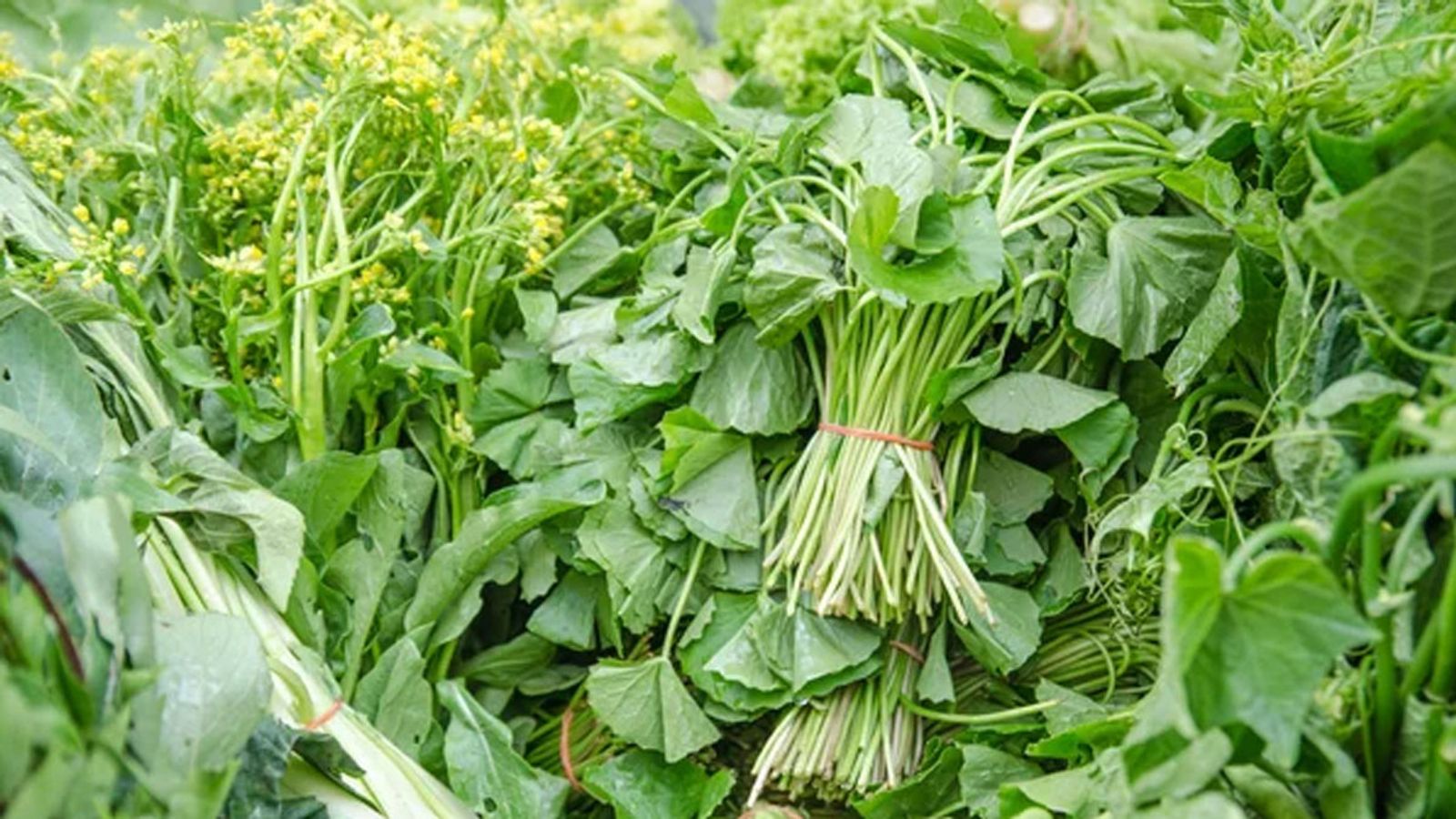 আমাদের প্রতিদিনের আমাদের প্রতিদিনের