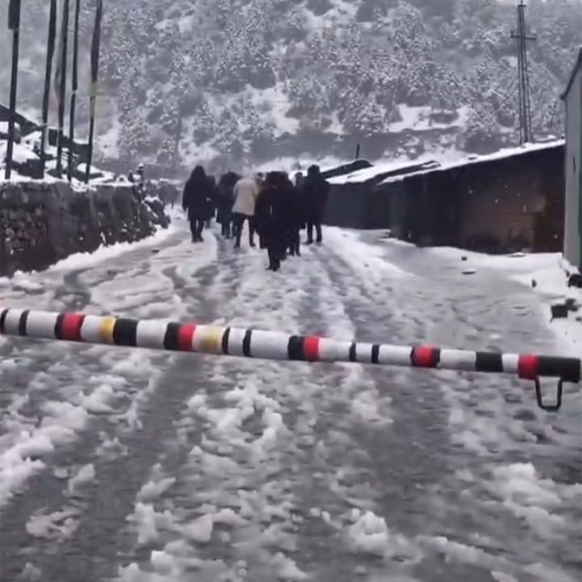 স্নো-ফল